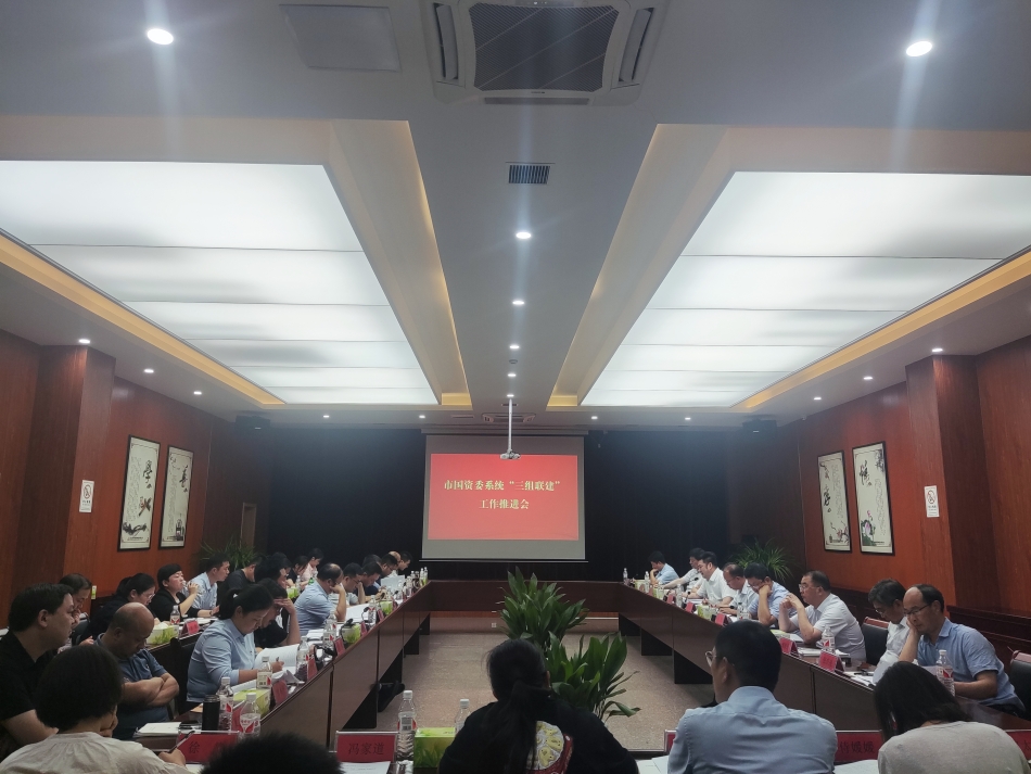 2024年7月17日，市國資委系統(tǒng)在公司開展“三組聯(lián)建”現(xiàn)場觀摩（推進(jìn)會(huì)）_副本